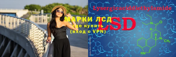 прущие грибы Козловка