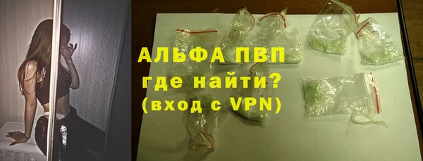 прущие грибы Козловка