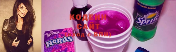 прущие грибы Козловка