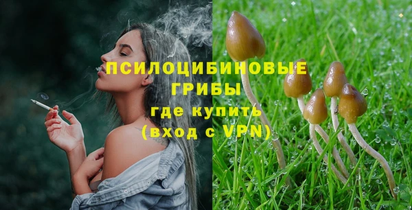 тгк Кодинск