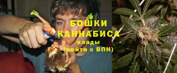 прущие грибы Козловка