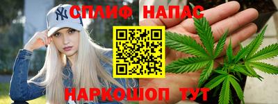 СК Шахты