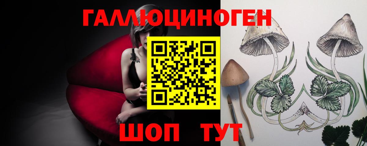 Псилоцибиновые грибы GOLDEN TEACHER  Вход с VPN  Стерлитамак  Галлюциногенные грибы Psilocybine cubensis 